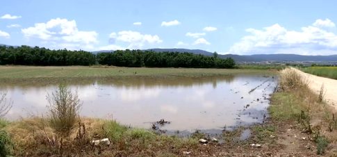 Δημογραφική συρρίκνωση: Μειωμένες κατά 4,2% πέρυσι οι γεννήσεις