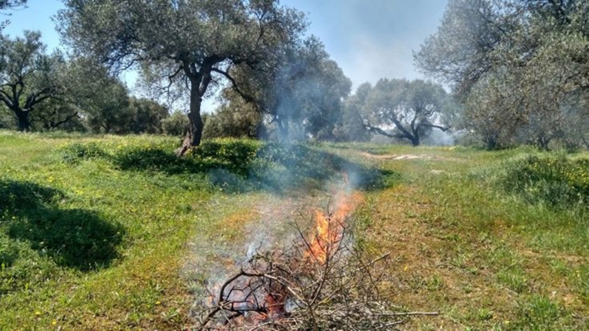 CorfuNews image