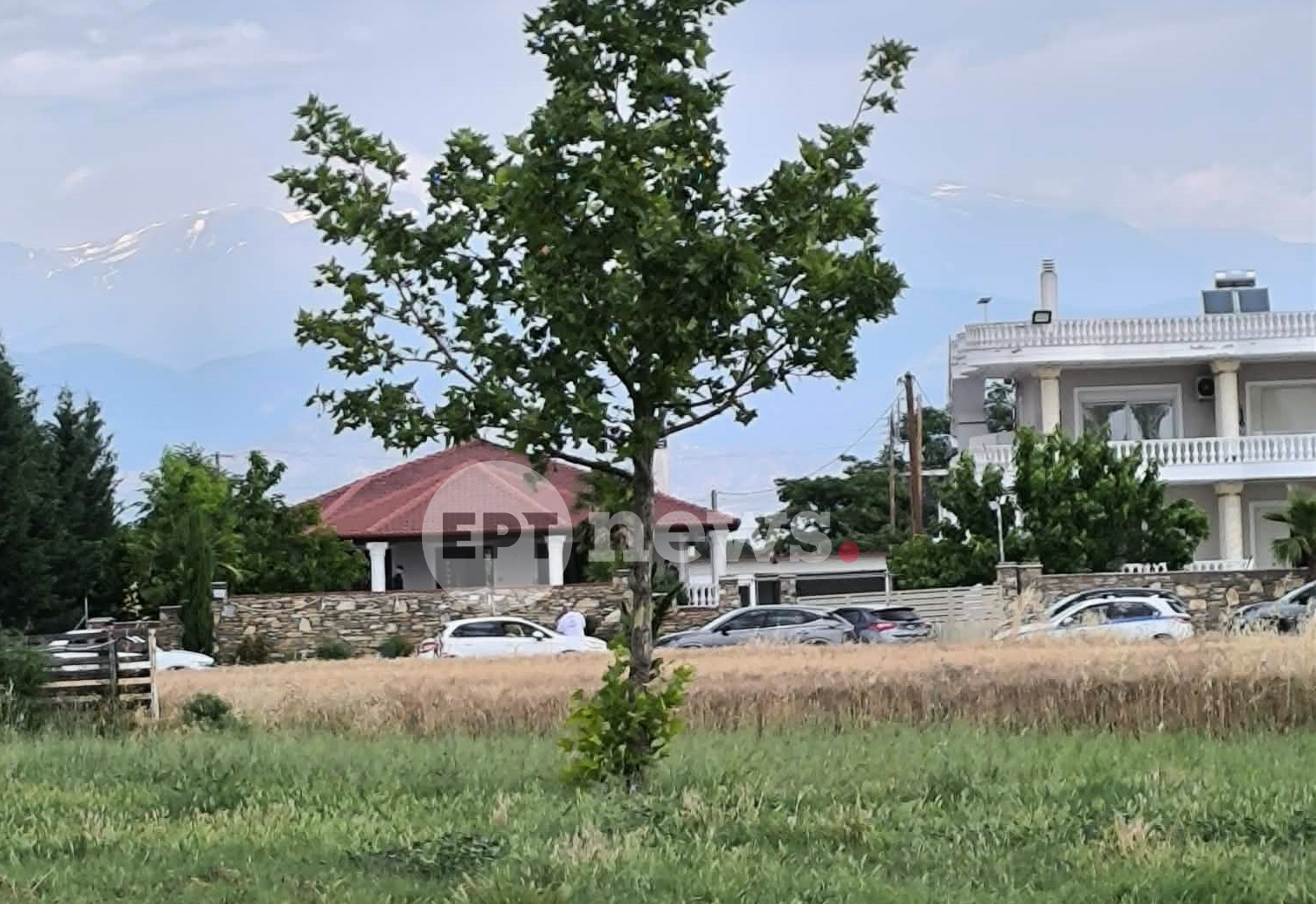 Επιχείρηση της ΔΑΟΕ στη Λάρισα: Μία σύλληψη στη Γιαννούλη για το κύκλωμα με τις «χρυσές» λίρες