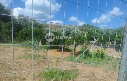 Δολοφονία Σταυρούλας Λεβεντάκη: Το κίνητρο της δολοφονίας αναζητούν οι αρχές – Την Δευτέρα διενεργείται η ιατροδικαστική εξέταση