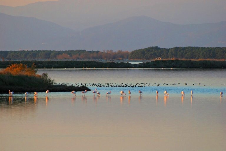 «Βιστωνίδεια 2026»: Μια εβδομάδα δράσεων για τη φύση, τη λίμνη και την παράδοση