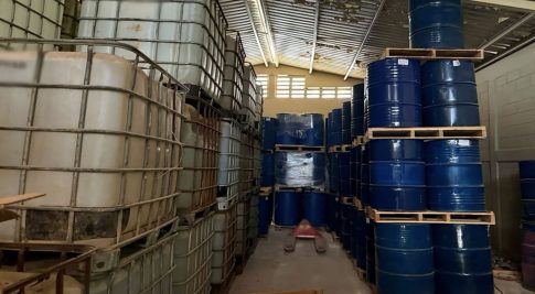 Διαδικτυακή ξενάγηση </br> στο «Μπλε Σπίτι» της Φρίντα Κάλο