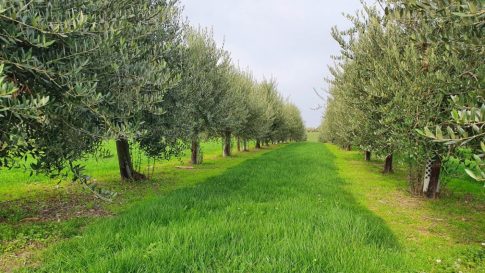 Περιφέρεια Θεσσαλίας: Εξαιρετικής ποιότητας τα νερά κολύμβησης σε Μαγνησία και Σποράδες