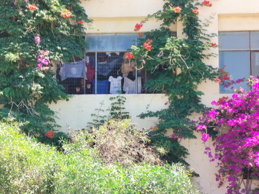 Νέα άφιξη 41 μεταναστών στο Ηράκλειο – Ακραίος συνωστισμός στο παλιό «ψυγείο» με 459 άτομα