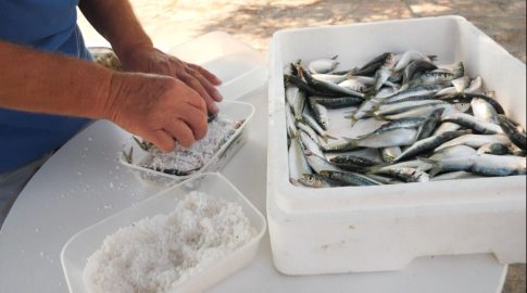 Συνελήφθη φερόμενος ως ηγετικό στέλεχος κυκλώματος διακίνησης μεταναστών – Εκκρεμούσε ένταλμα σύλληψης από την εισαγγελία Σάμου