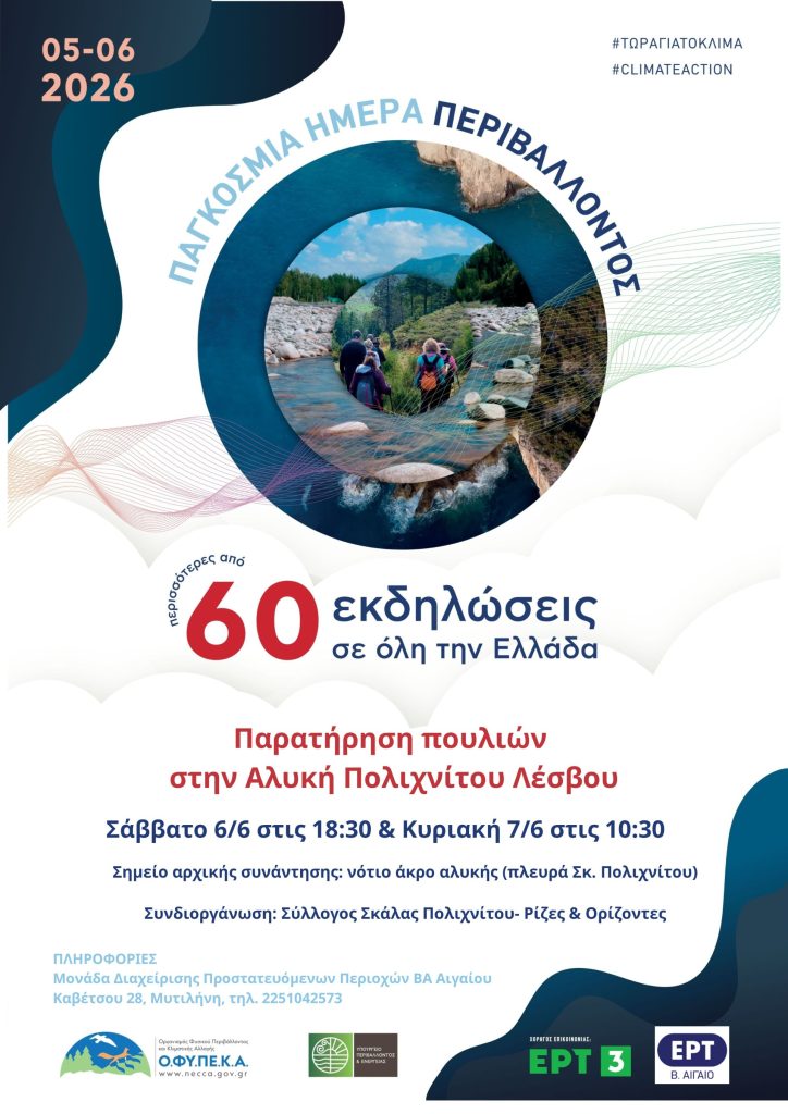 Παγκόσμια ημέρα περιβάλλοντος: Παρατήρηση πουλιών στις Αλυκές Πολιχνίτου στη Δυτική Λέσβο