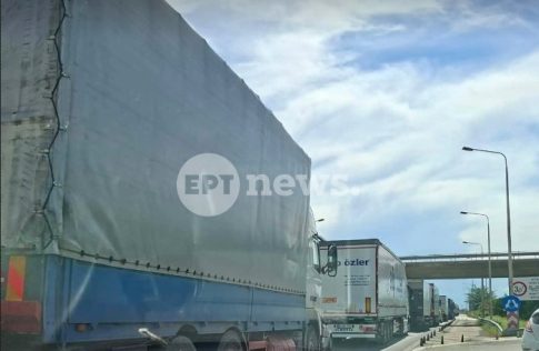 Καταλύματα για αδέσποτα σκυλιά από παλιά υλικά του ΔΕΔΔΗΕ