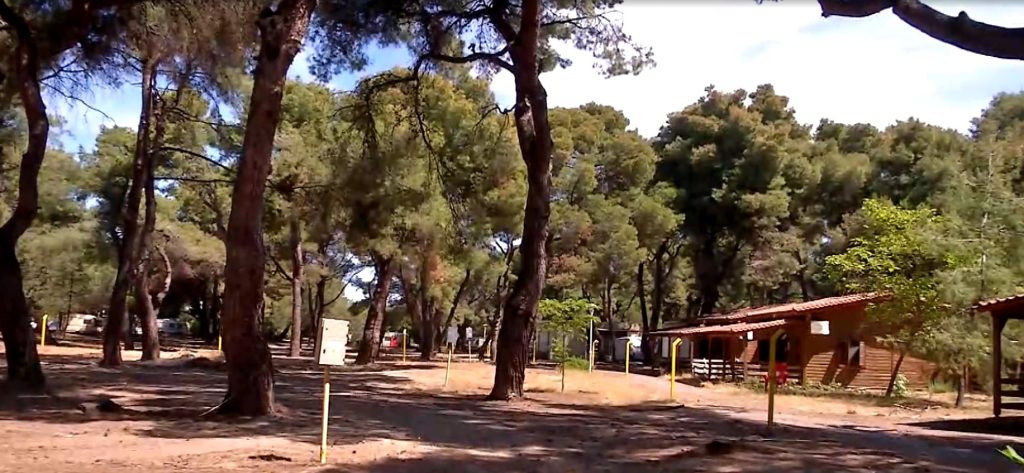 Χαλκιδική: Το κάμπινγκ του ΑΠΘ ετοιμάζεται να υποδεχθεί τους φοιτητές