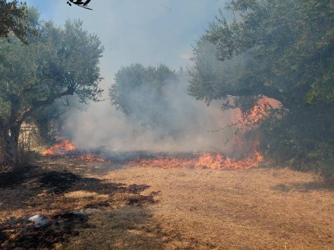 Παρέμεινε το Νοσοκομείο Αμαλιάδας στις <strong>άγονες περιοχές Β΄ κατηγορίας</strong>