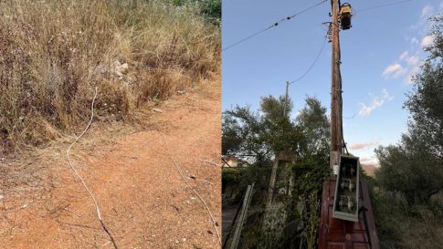 Μεσσηνία: Πρώτο κρούσμα ευλογιάς αιγοπροβάτων στο Δεσύλλα – Θανατώθηκαν 220 πρόβατα