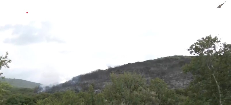 Θεσσαλονίκη: Κινητοποίηση της Πυροσβεστικής για φωτιά στο Ρετζίκι – Σήμανε το 112