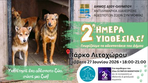 Κιλκίς: Ένα ηχηρό μήνυμα ενάντια σε κάθε μορφή βίας από το Πολύκαστρο