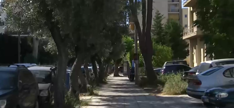 Καλλιθέα: Ιδιοκτήτης διαμερίσματος ξυλοκόπησε με ρόπαλο δύο διαρρήκτες – Συνελήφθησαν και οι τρεις