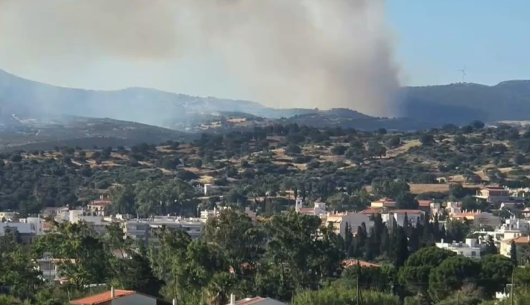 Βελτιωμένη η εικόνα της πυρκαγιάς στον Αλμυροπόταμο Ευβοίας