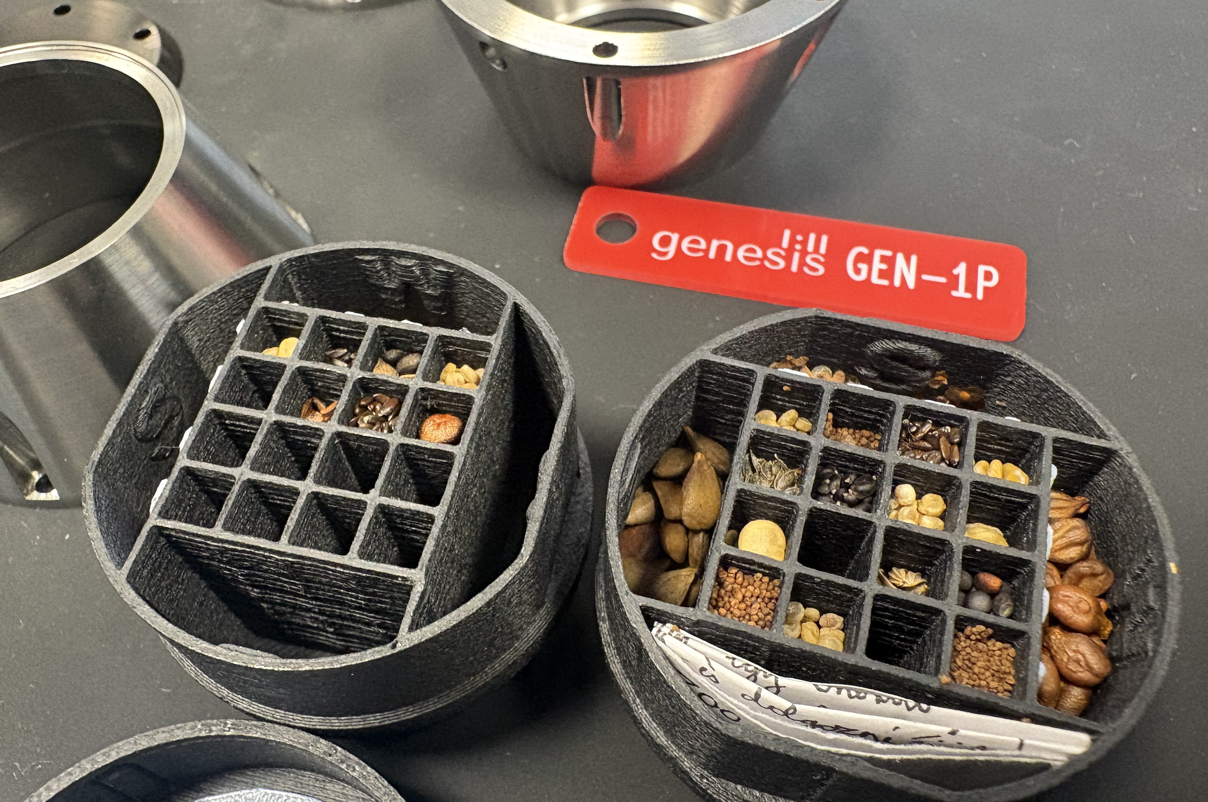 seeds