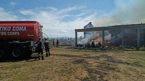 Σέρρες: Ενίσχυση του κοινωνικού παντοπωλείου της ΙΜΣΝ από την <strong>Δ/νση Αστυνομίας</strong>