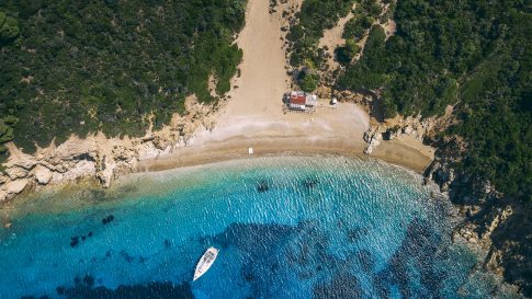 Μελισσάτικα: Μηνυτήρια αναφορά για το ιδιωτικό κυνοκομείο – Δικαστική έρευνα για τις συνθήκες κράτησης των ζώων