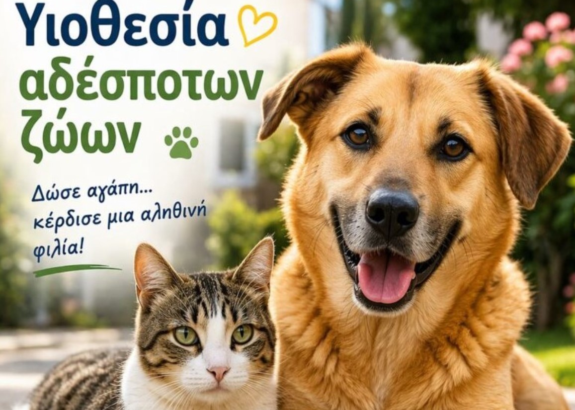 «Υιοθετείς αδέσποτο – Πληρώνεις λιγότερα δημοτικά τέλη»: Πρω