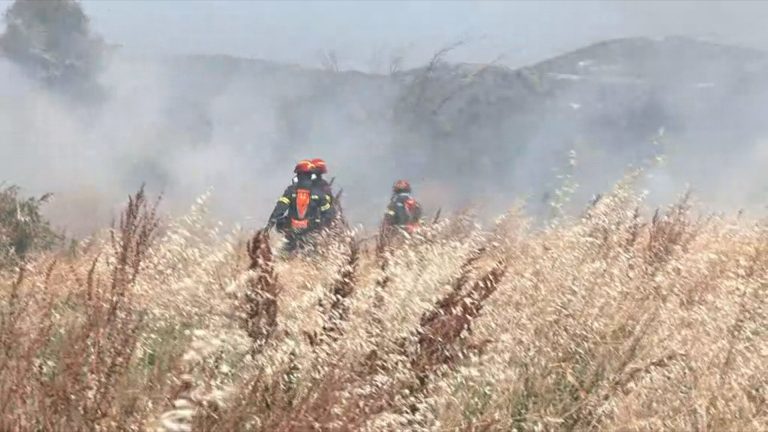 Κοζάνη: Οριοθετήθηκε η φωτιά στην Τραπεζίτσα – Στο νοσοκομείο με εγκαύματα κτηνοτρόφος