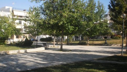 «Έξυπνη» εφαρμογή «μεταφράζει» το νιαούρισμα της γάτας