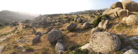 Το θέμα των γυναικοκτονιών στη Βουλή: Βαθύτερη κοινωνική συζήτηση ζητούν οι βουλευτές