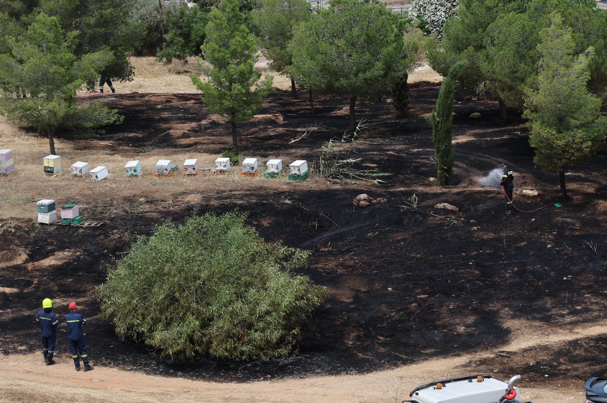Βίντεο-ντοκουμέντο του EΡΤnews: Η στιγμή που ο μελισσοκόμος προσπαθεί να σβήσει τη φωτιά – Τι υποστηρίζει ο 45χρονος