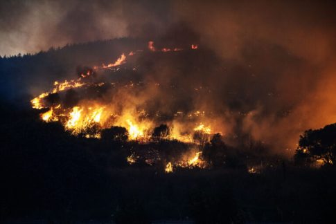 Οι θίασοι που θα διαγωνιστούν στο 41<sup>ο</sup> Πανελλήνιο Φεστιβάλ Ερασιτεχνικού Θεάτρου Καρδίτσας