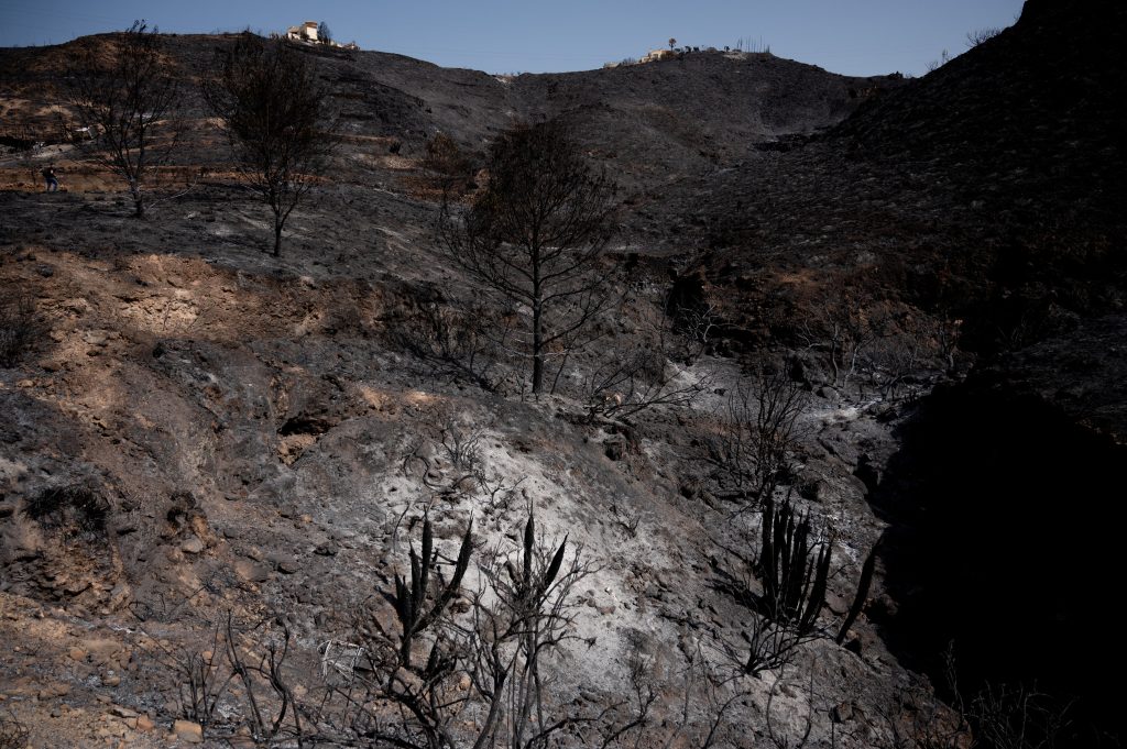 Iσπανία: Σε ύφεση η φονική πυρκαγιά στην Αλμερία που άφησε πίσω της 12 νεκρούς – Αγωνία για τους αγνοούμενους