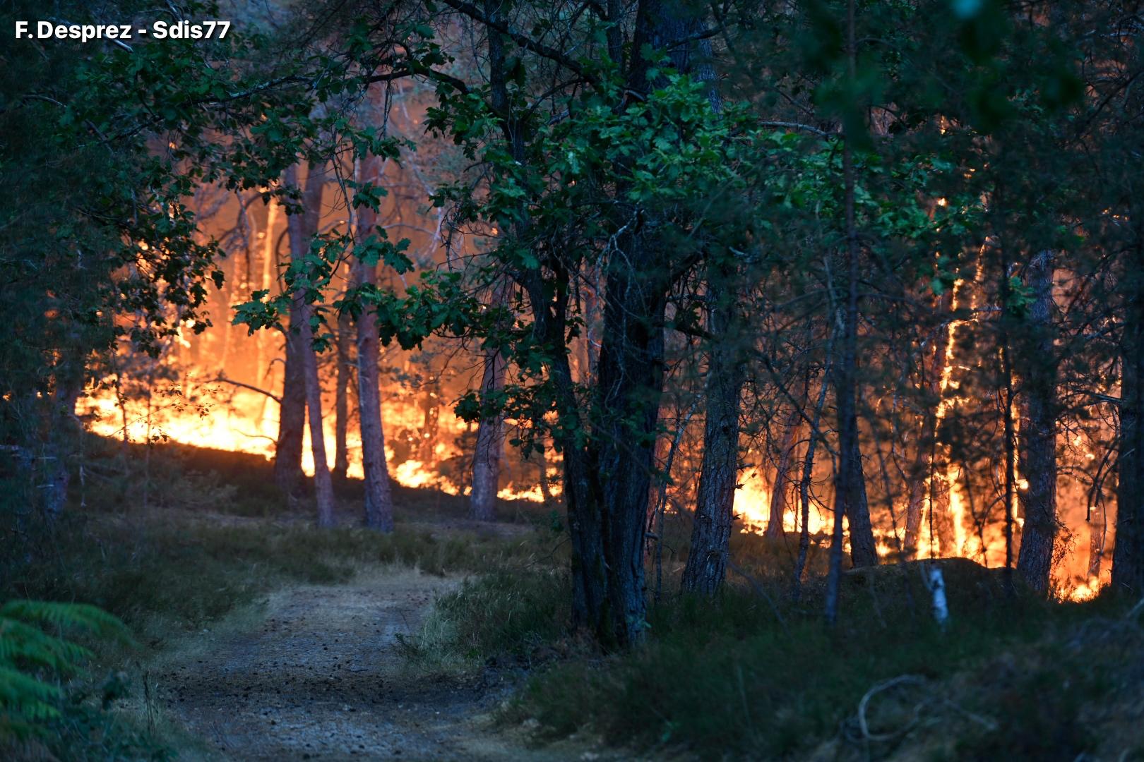 Γαλλία: Πενήντα εννέα συλλήψεις για εμπρησμούς σε όλη τη χώρα  ​