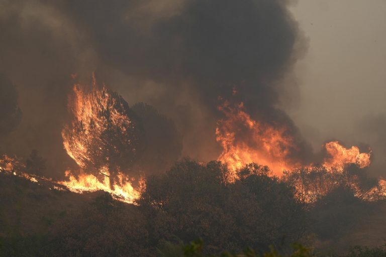 Τυνησία: Τουλάχιστον 900 πυρκαγιές εκδηλώθηκαν τις τελευταίες τρεις ημέρες