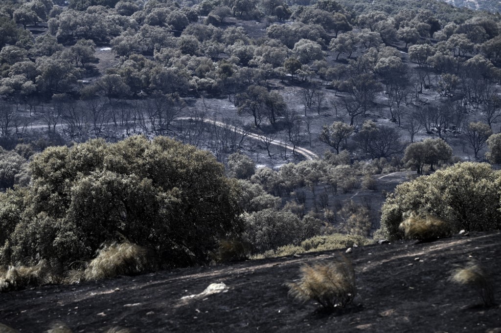 Ισπανία και Γαλλία αντιμέτωπες με καταστροφικές πυρκαγιές – Χιλιάδες επιστρέφουν στα σπίτια τους, ενώ η Ευρώπη δοκιμάζεται από νέο κύμα καύσωνα
