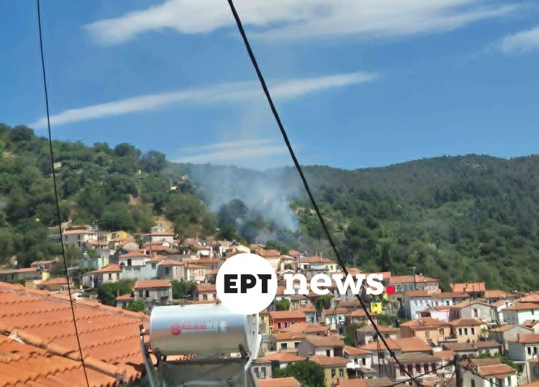 Δασική φωτιά στην Αγιάσο της Λέσβου: Μεγάλη κινητοποίηση της Πυροσβεστικής – Μήνυμα του 112