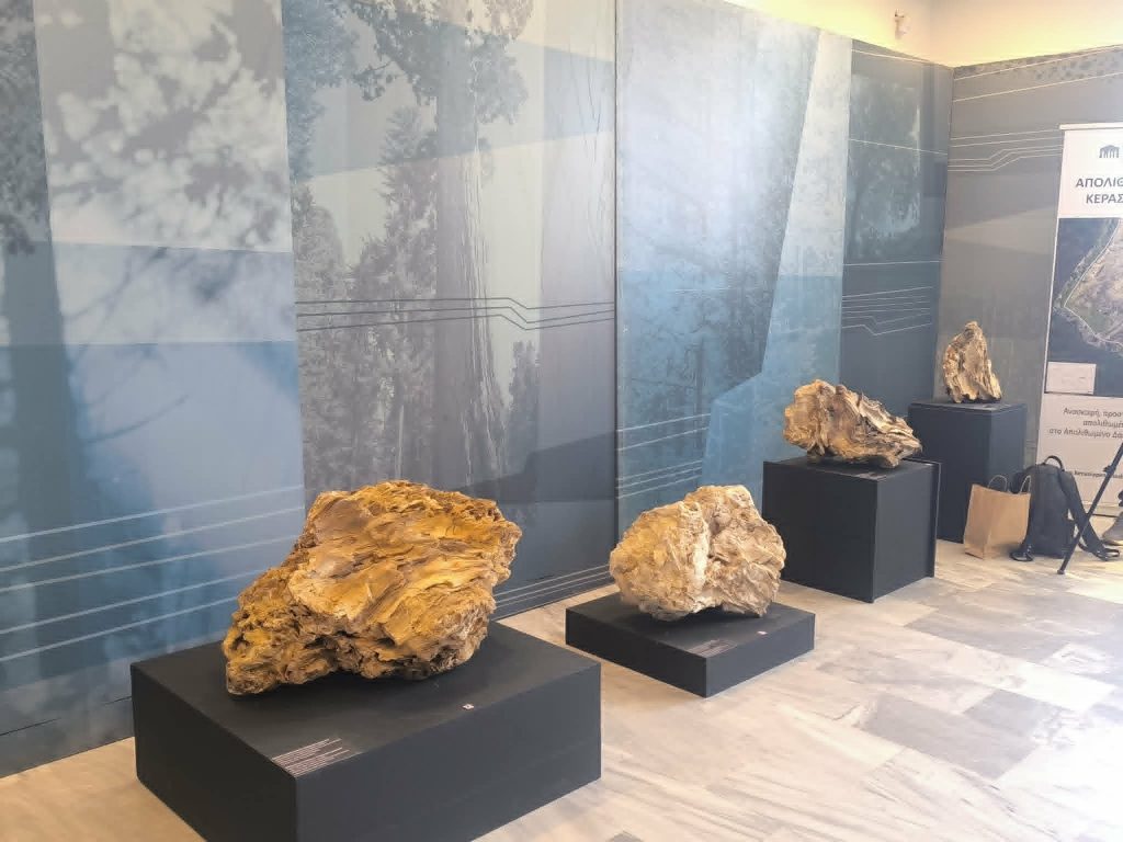 Έκθεση με απολιθώματα της Βόρειας Εύβοιας στο Μουσείο Φυσικής Ιστορίας Απολιθωμένου Δάσους Λέσβου