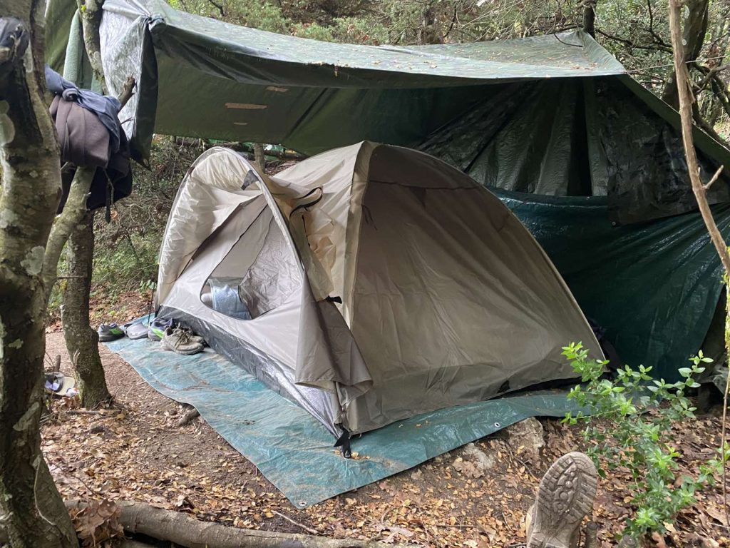 «Ξηλώθηκε» φυτεία με 4.600 δενδρύλλια κάνναβης στη Φθιώτιδα: Τρεις συλλήψεις – Θα αποκόμιζαν 9 εκατ. ευρώ