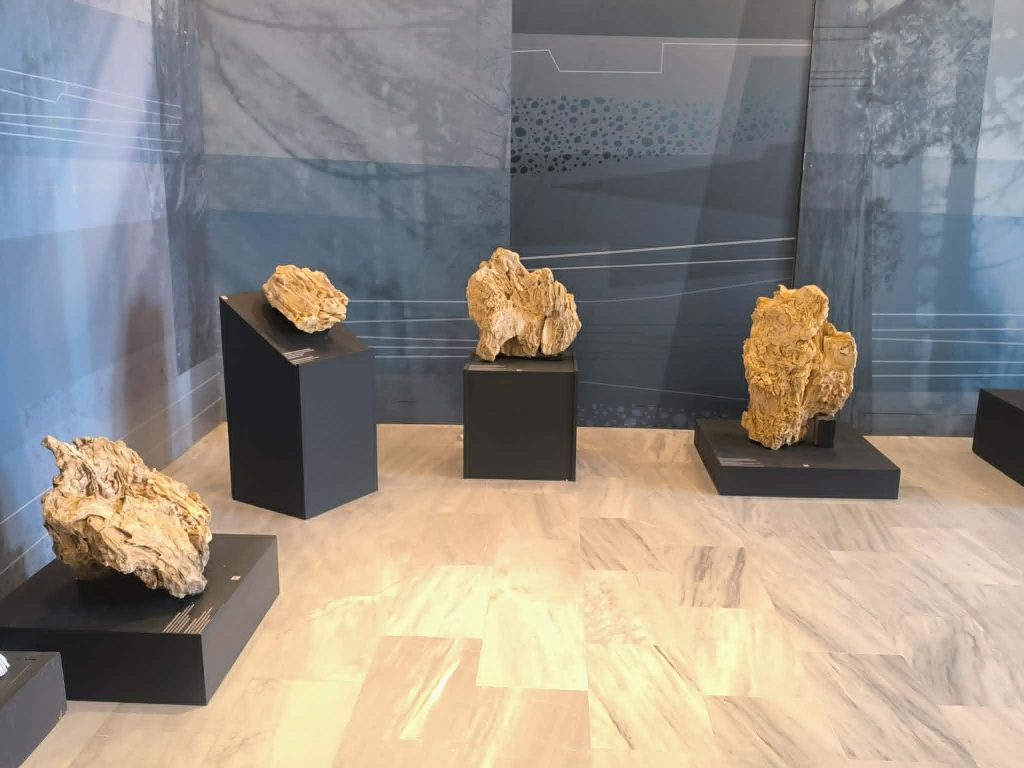 Έκθεση με απολιθώματα της Βόρειας Εύβοιας στο Μουσείο Φυσικής Ιστορίας Απολιθωμένου Δάσους Λέσβου