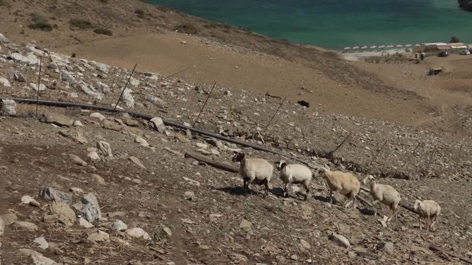 SOS από το Αιγαίο για το νερό – Η κλιματική αλλαγή «στερεύει» τα νησιά: Το Reuters καταγράφει τη δοκιμασία της Αστυπάλαιας