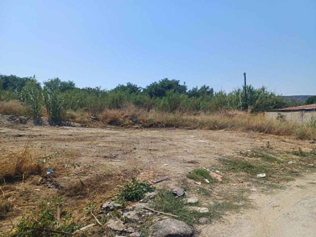 Νέα επιχείρηση καθαρισμού στον Ξηριά – Έκκληση του Δήμου για τέλος στις παράνομες αποθέσεις απορριμμάτων