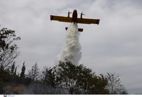 Βουλγαρία: Πώς έχει αλλάξει το ευρώ τις συνήθειες των πολιτών;