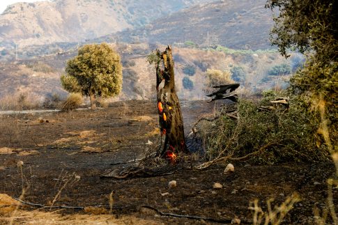 Εκατοντάδες μετανάστες κολυμπούν από το Μαρόκο προς τον ισπανικό θύλακα της Θέουτα
