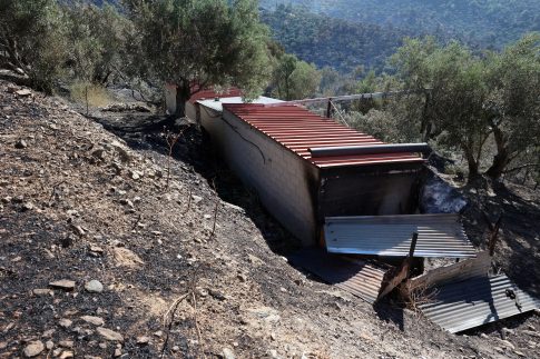 Σδούκου στο ΕΡΤnews: Η ΔΕΘ θα είναι οδικός χάρτης έως το 2030, όχι έκθεση παροχών
