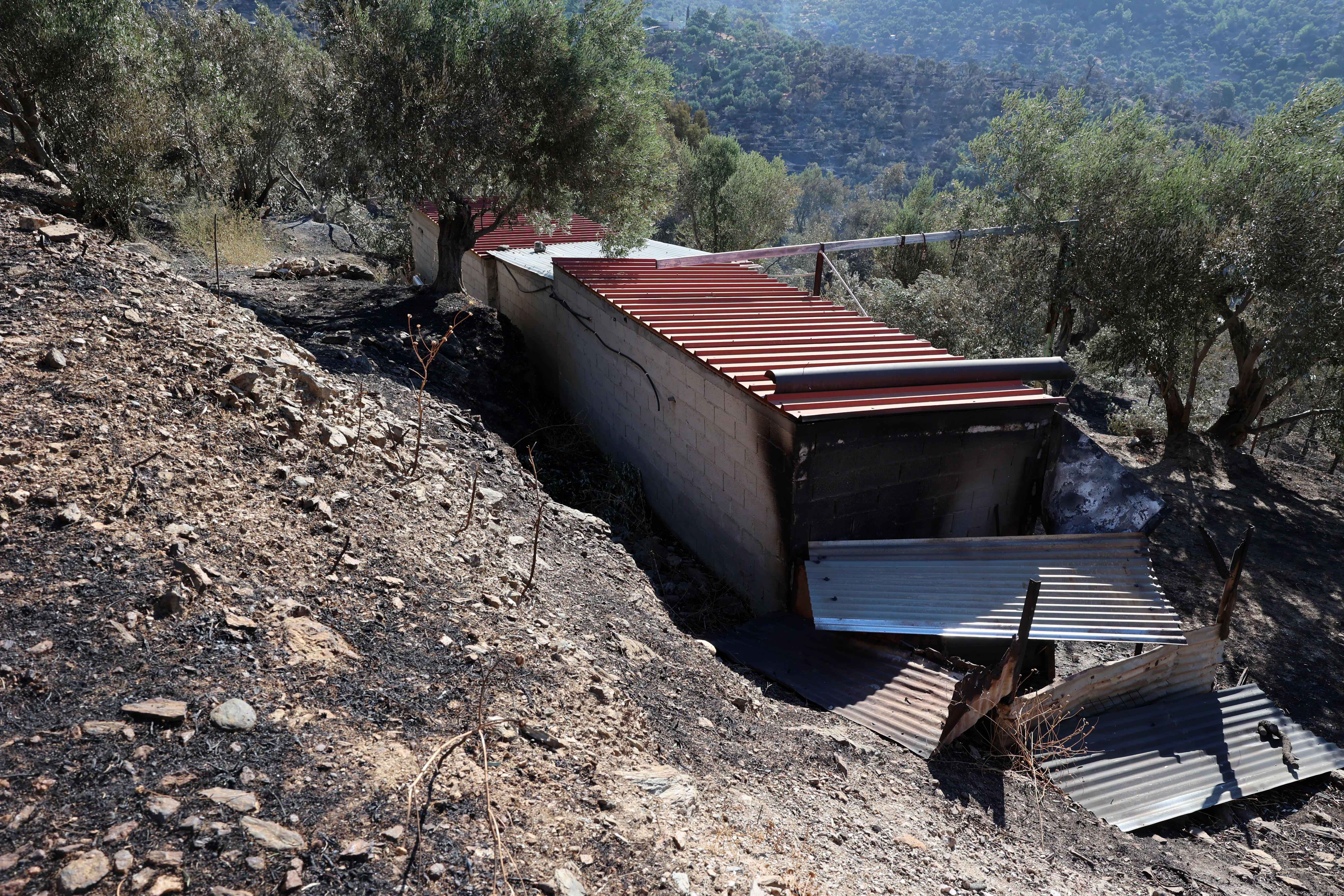 Βελτιωμένη η εικόνα της πυρκαγιάς στο Πλωμάρι Λέσβου: Χωρίς ενεργό μέτωπο, μάχη με τις διάσπαρτες εστίες