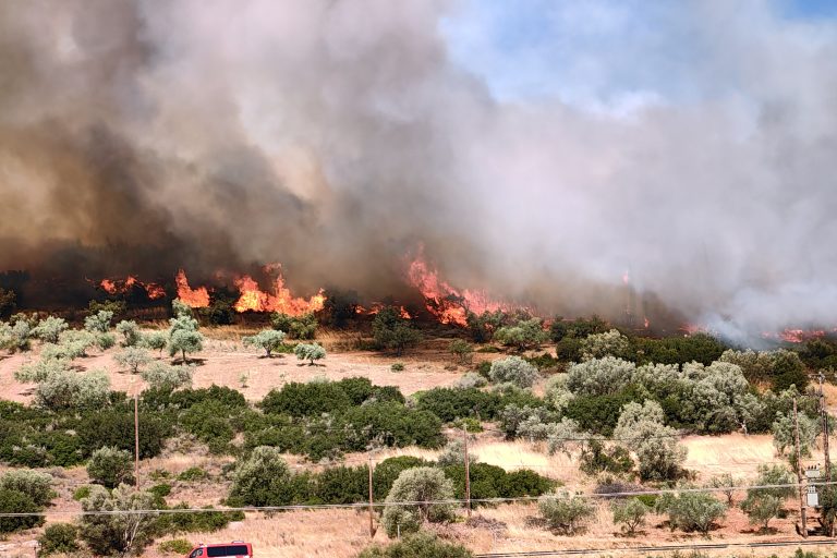 Λάρισα: Πυρκαγιά εκδηλώθηκε σήμερα σε αγροτοδασική έκταση στην περιοχή Κυρά Φαρσάλων – Υποψίες για εμπρησμό