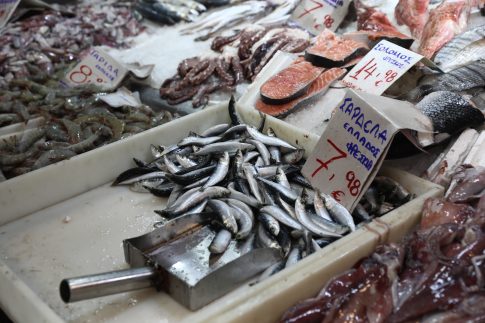 Χαλκιδική: Ο Βαγγέλης Γερμανός στο μουσικό φεστιβάλ «Η μικρή σκηνή δίπλα στη θάλασσα»