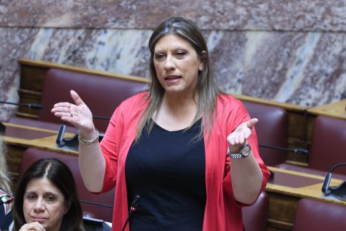 <strong>Ελαιοκομικό Μητρώο: Υποχρεώσεις Ελαιοπαραγωγών για τις Δηλώσεις Συγκομιδής</strong>