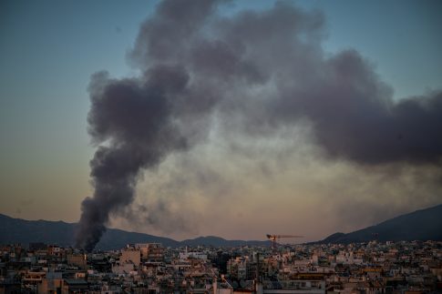 <strong>Νέα Τεχνική Έκθεση της EFSA για την Επιτήρηση Φυτικών Παρασίτων</strong>