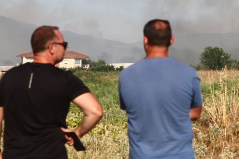 Ιεράπετρα: Σύλληψη για <strong>δηλητηρίαση αδέσποτου σκύλου</strong>