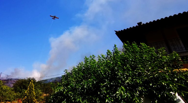 Πυρκαγιά στο Αδάμι Επιδαύρου: Ενισχύθηκαν οι δυνάμεις – Σε δύσβατο σημείο η εστία