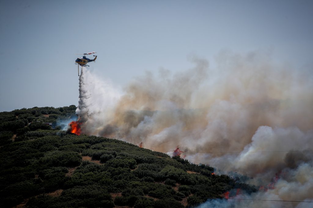 Θεσσαλονίκη: Οριοθετήθηκε η φωτιά που ξέσπασε στην Ευκαρπία