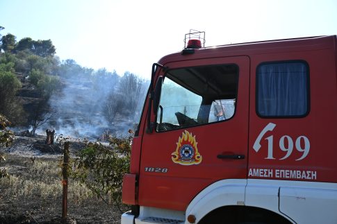 Διακομίστηκαν στο Γενικό Νοσοκομείο Κορίνθου <strong>δύο πυροσβέστες που επιχειρούσαν στην πυρκαγιά στον Φενεό</strong>
