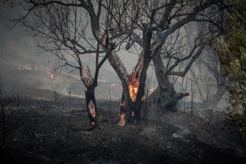 Εκατοντάδες μετανάστες κολυμπούν από το Μαρόκο προς τον ισπανικό θύλακα της Θέουτα